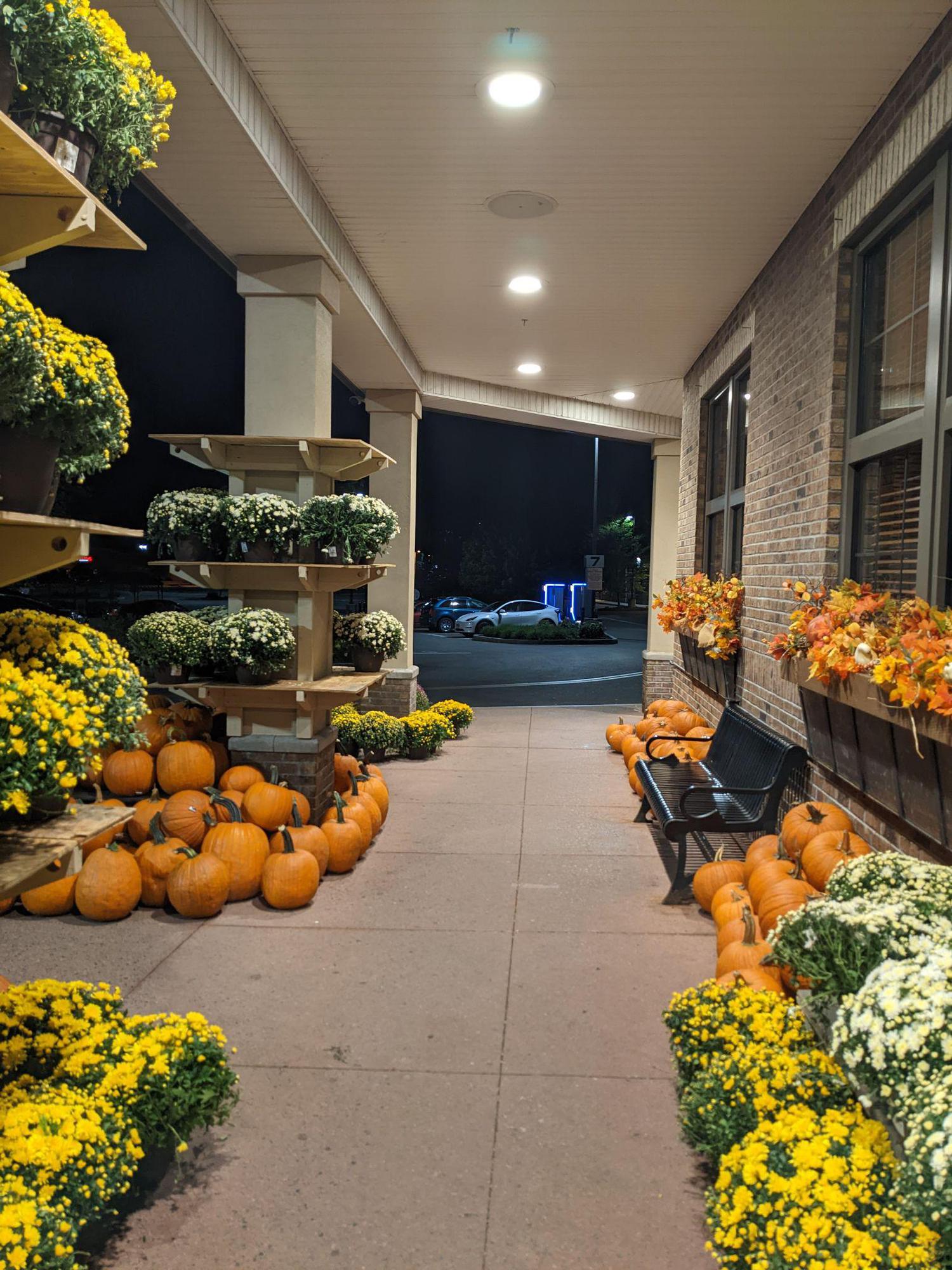 Wegmans Pittsford Rochester, NY EV Station