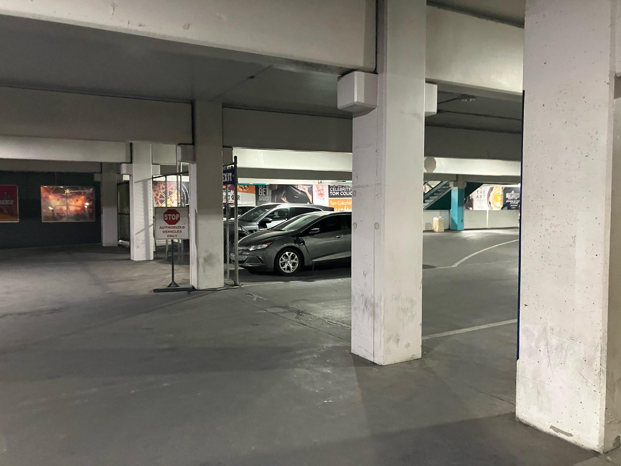 MGM Grand Self Parking Garage Las Vegas, NV EV Station