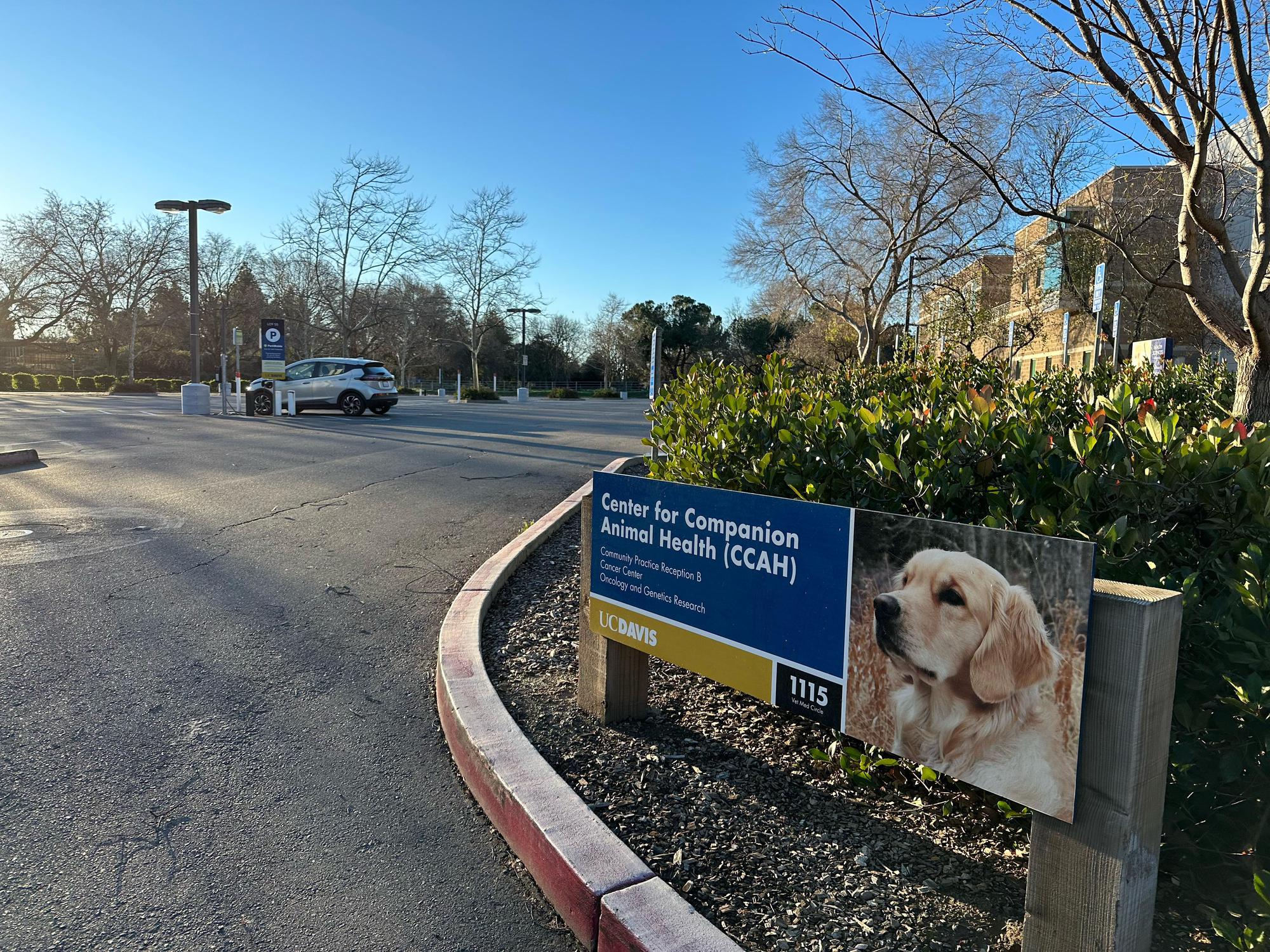 UC Davis Parking Lot 55 Davis, CA EV Station