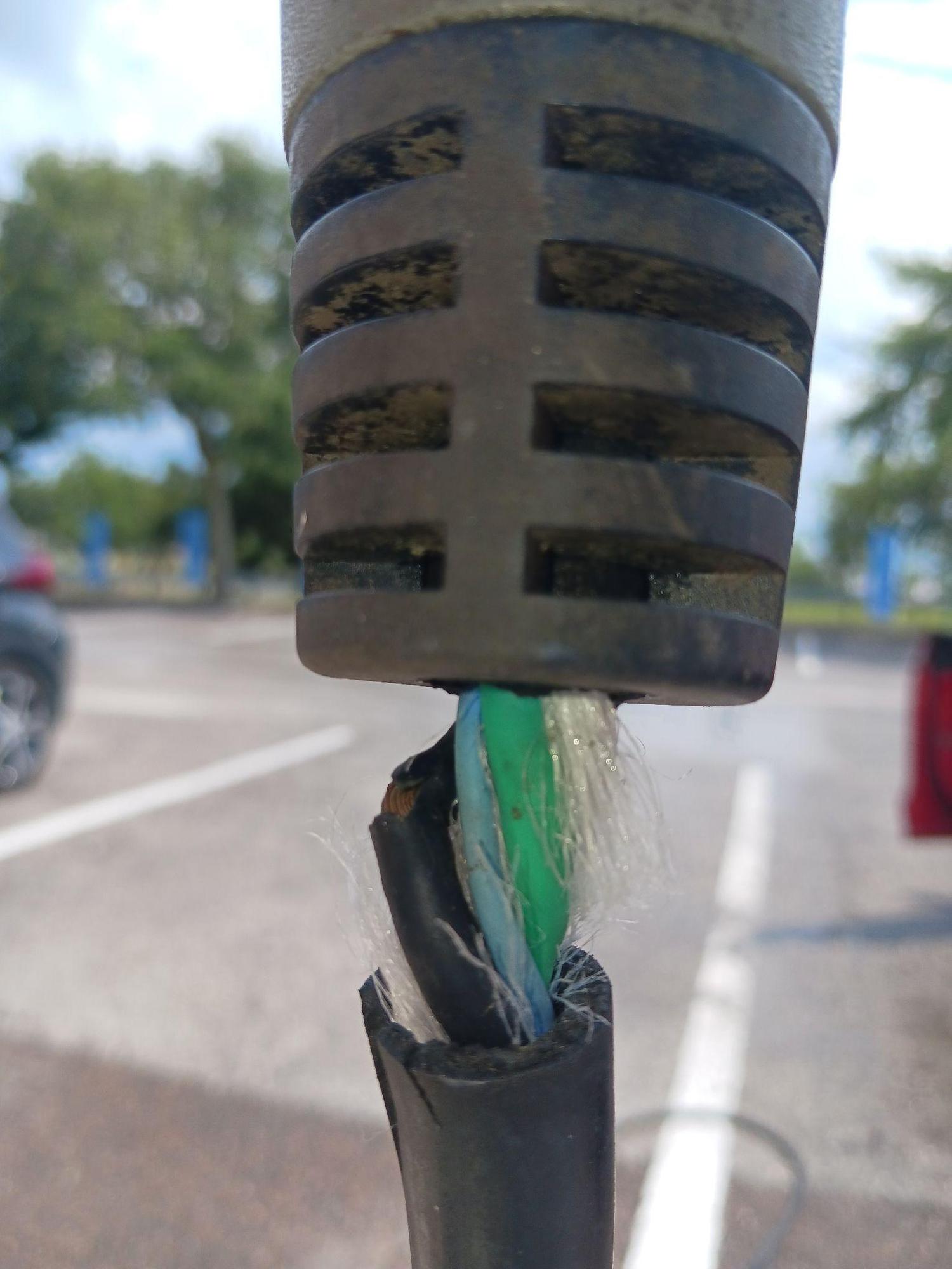 Walmart Zephyrhills, FL EV Station