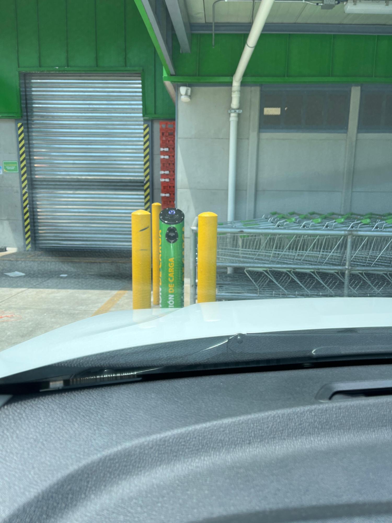 PALÍ GUÁCIMA