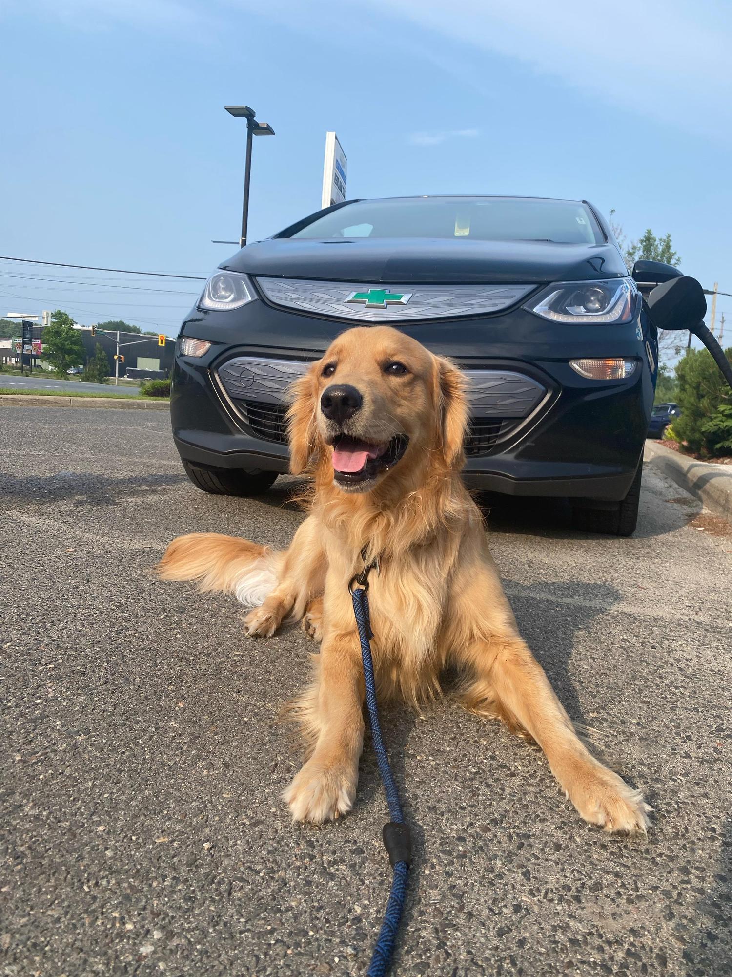 Southside Chevrolet Buick GMC Service 2 Greater Sudbury ON EV southside-chevrolet-buick-gmc-service-2-greater-sudbury-on-ev
