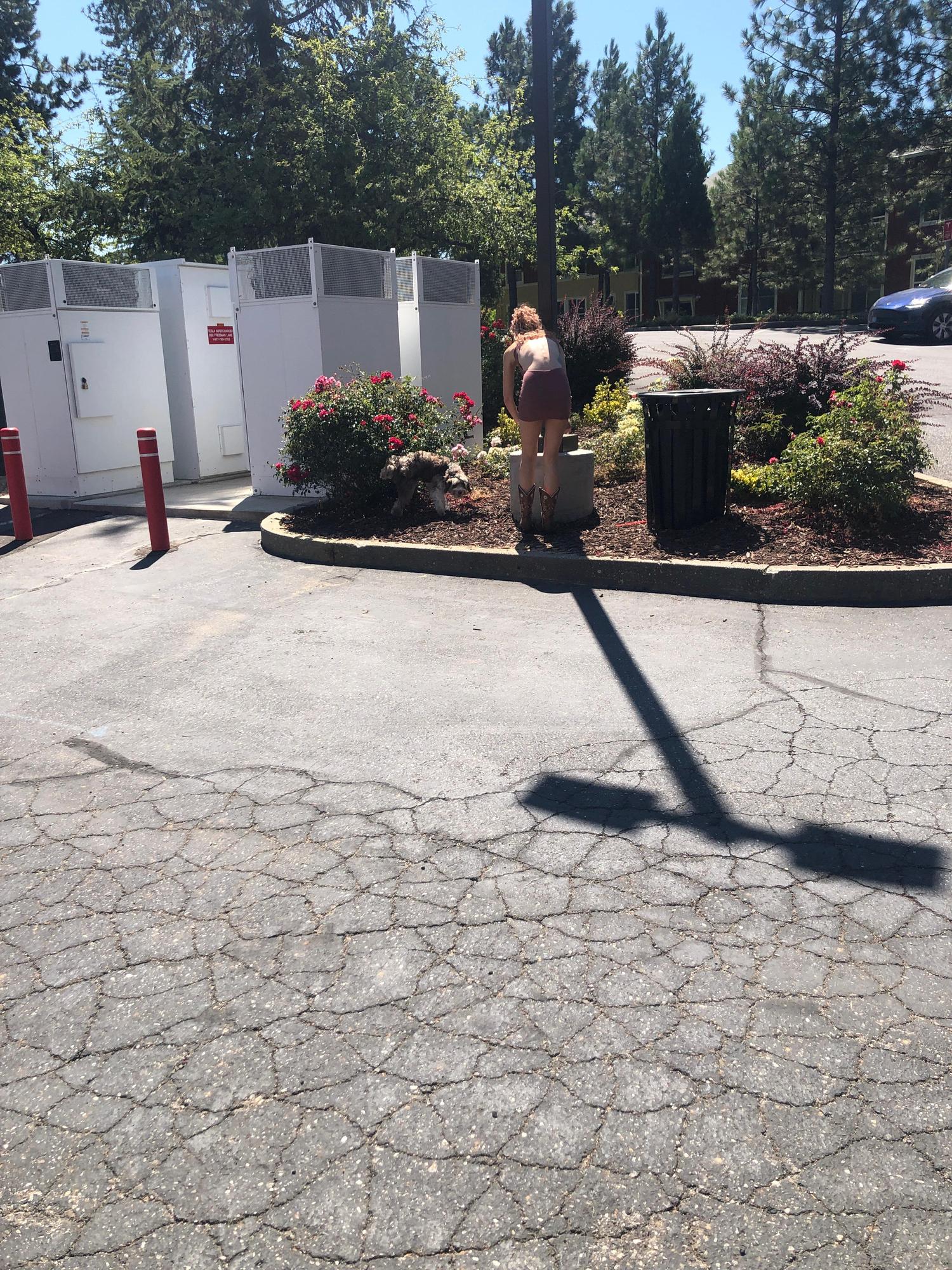 Pine Creek Shopping Center Grass Valley, CA EV Station