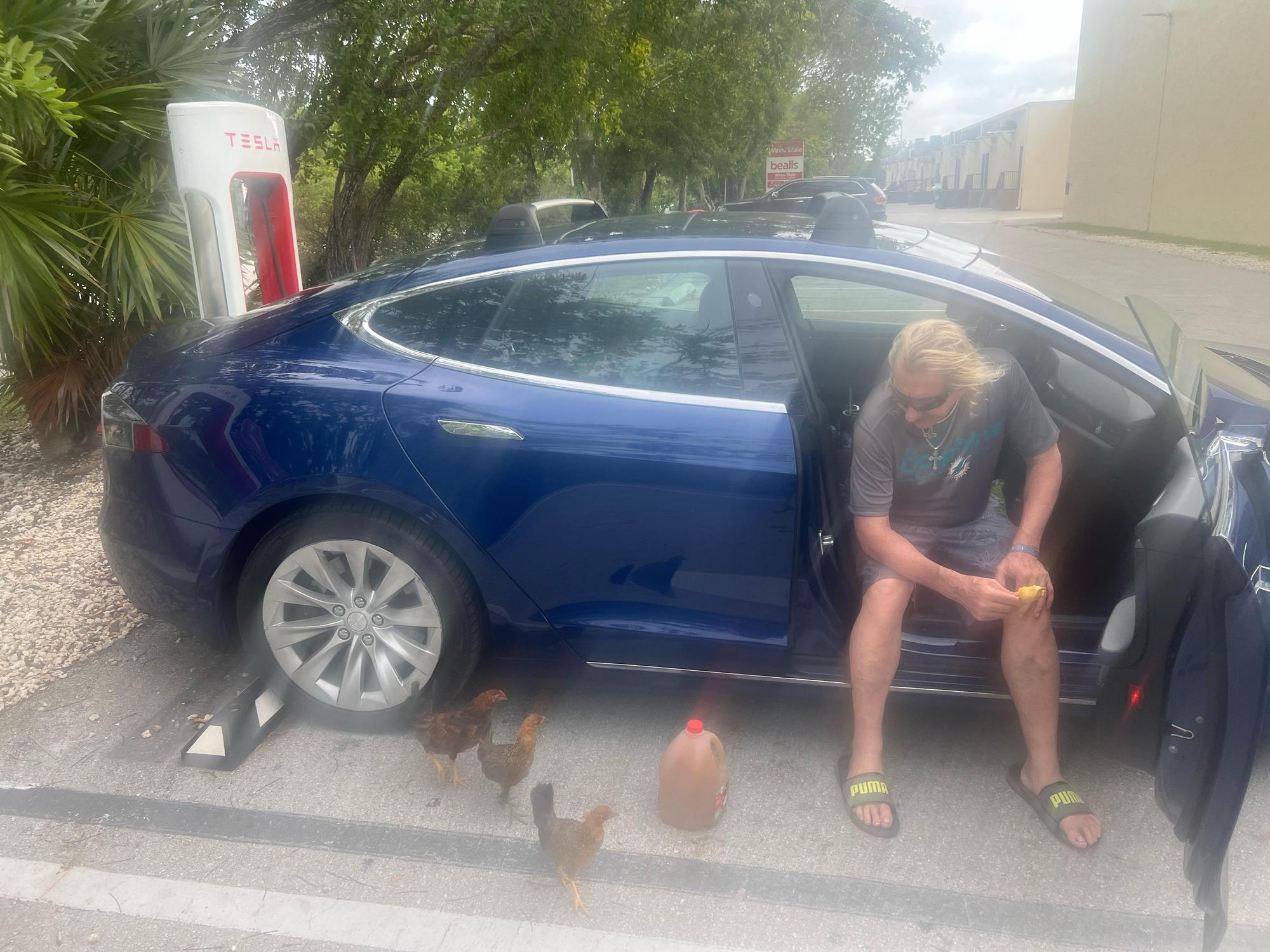 Winn Dixie at Big Pine Key Shopping Center Big Pine Key, FL EV Station
