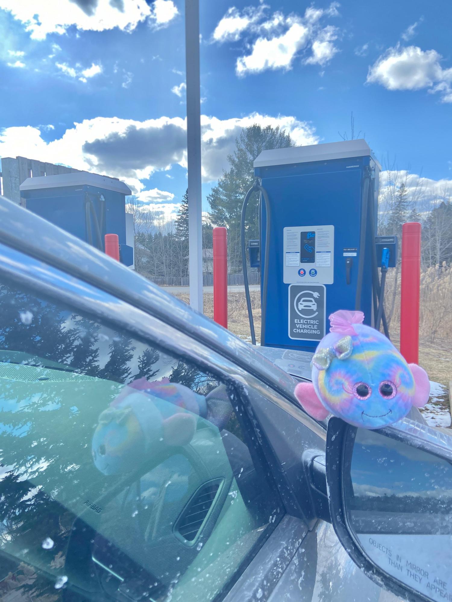 Canadian Tire Gas Bar (2) Minden, ON EV Station