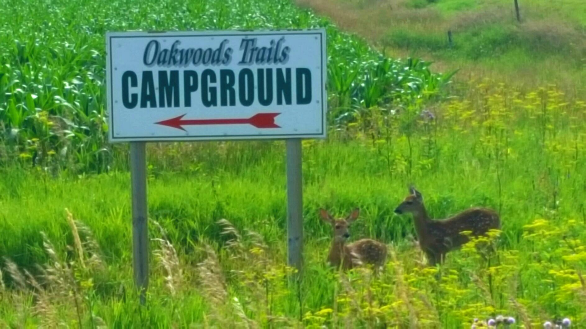 Oakwoods Trails Campground Albert Lea, MN EV Station