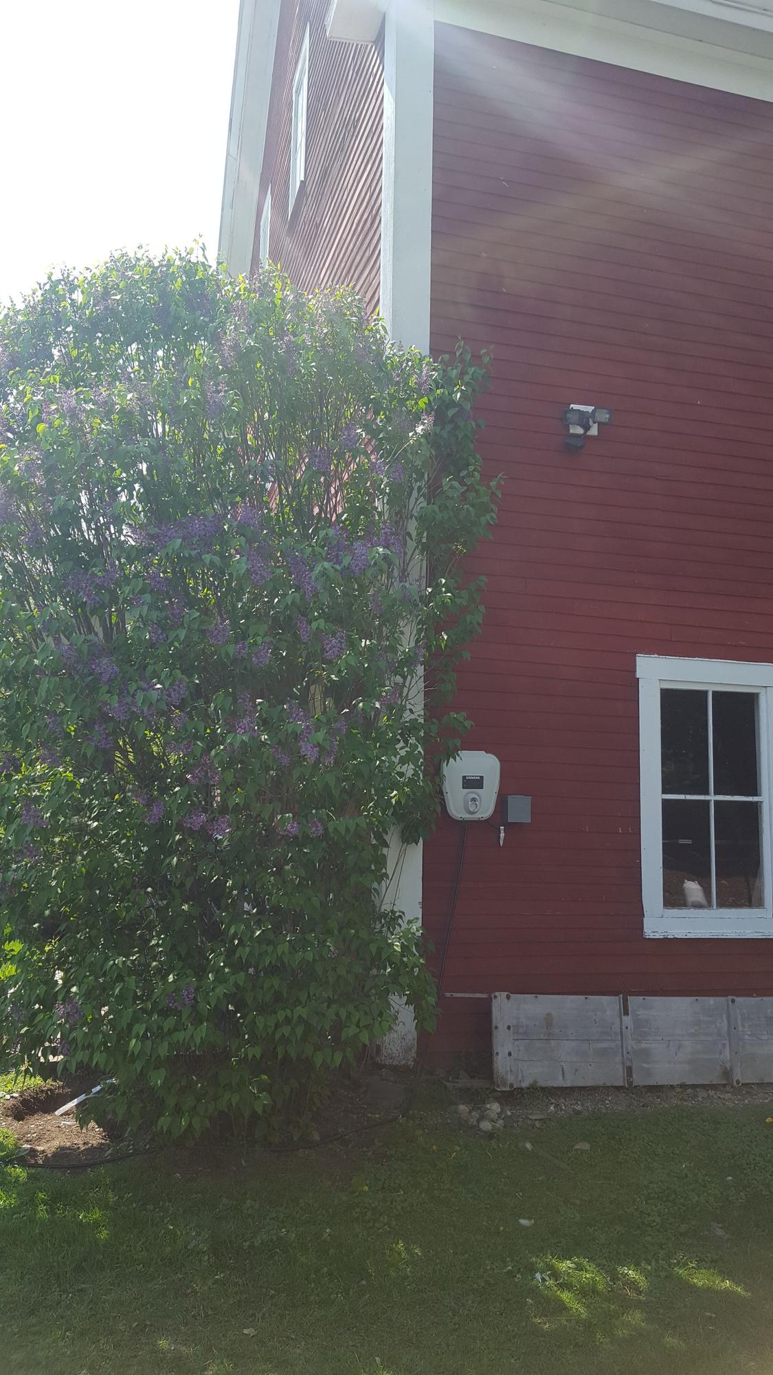 Nightingale Pawn Shop Lisbon, NH EV Station