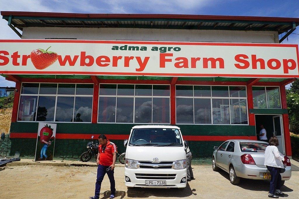 Adma Agro Strawberry Farm Shop Nuwara Eliya, CP EV Station