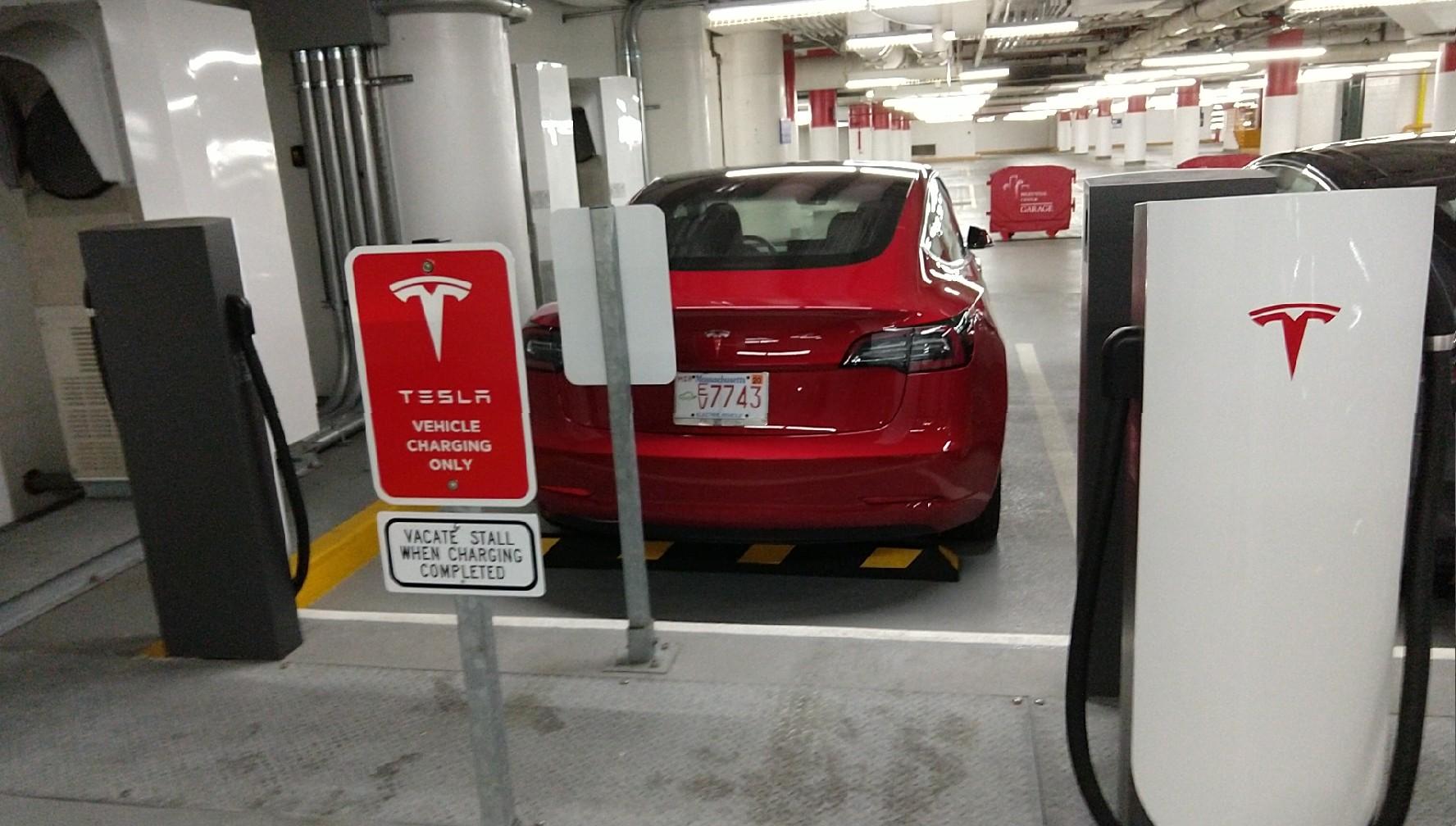 302235.jpg