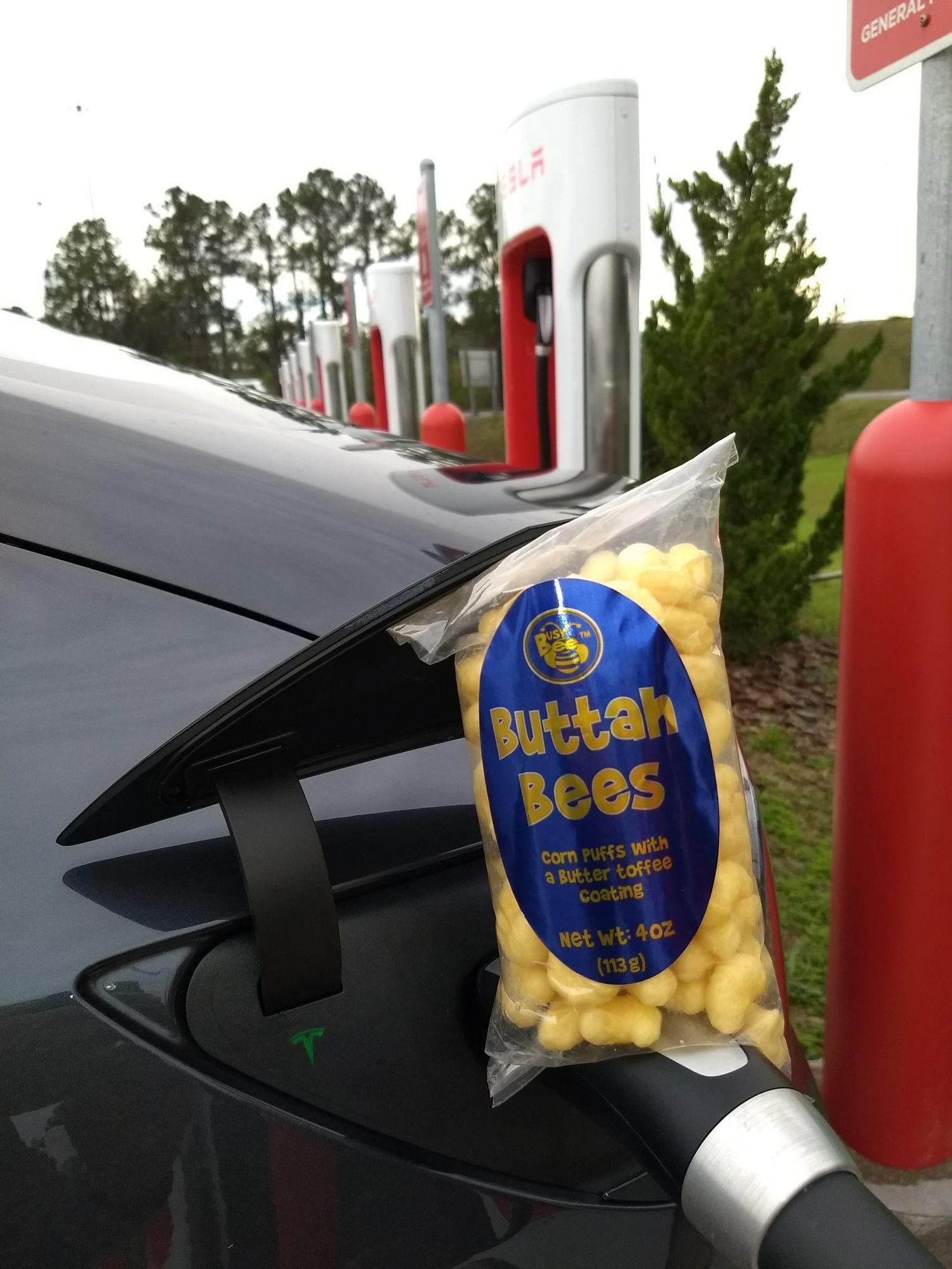 Busy Bee Live Oak Live Oak, FL EV Station