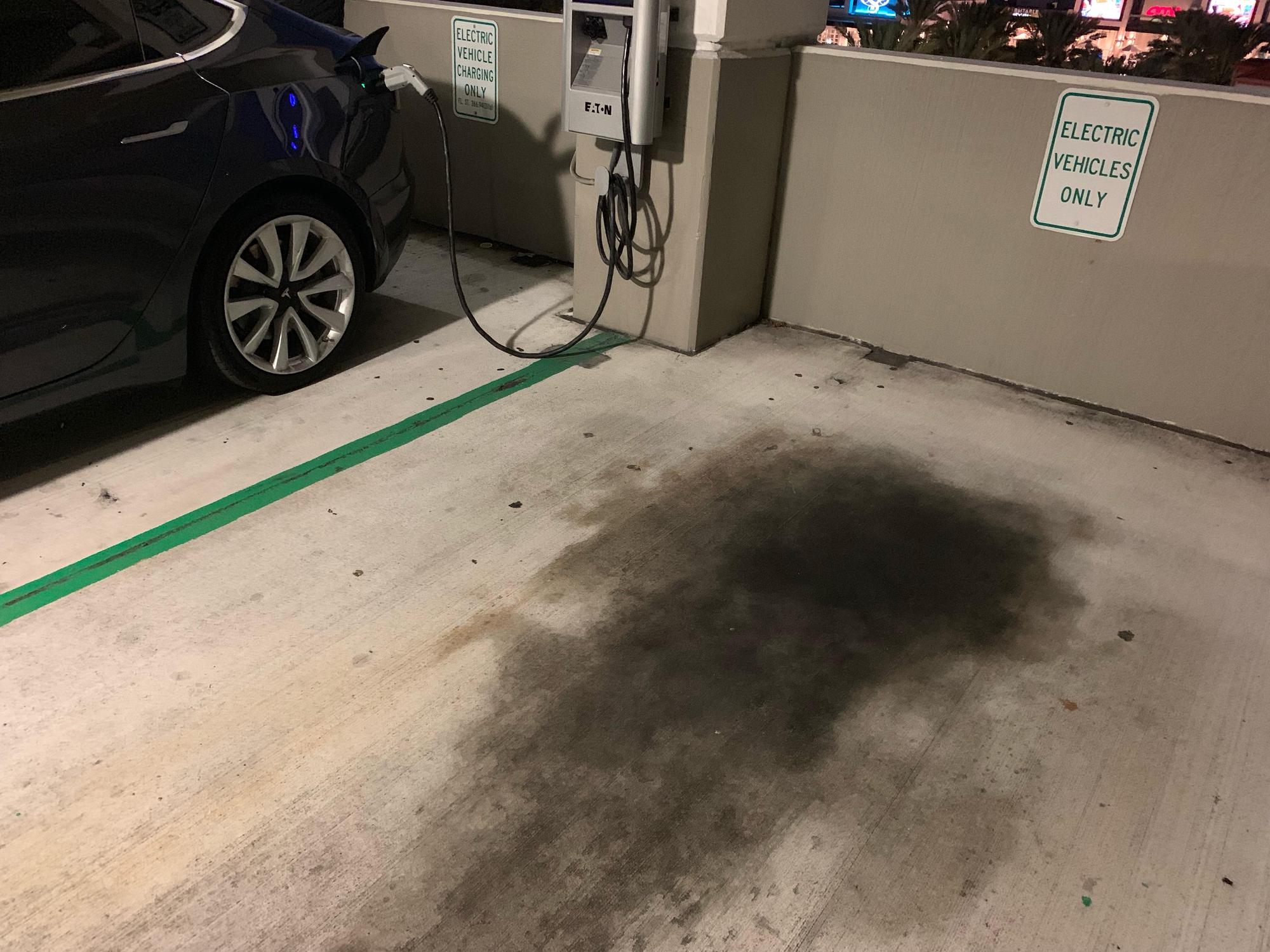 Sundial Parking Garage (1) St. Petersburg, FL EV Station