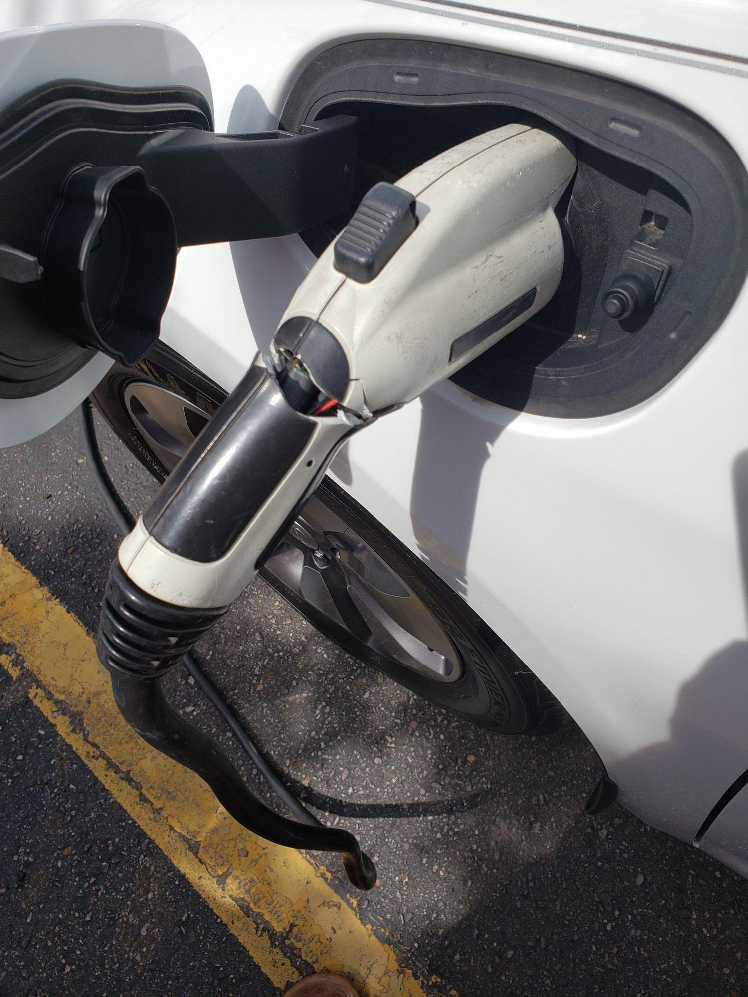 Ferndale Library West Parking Lot Ferndale, MI EV Station