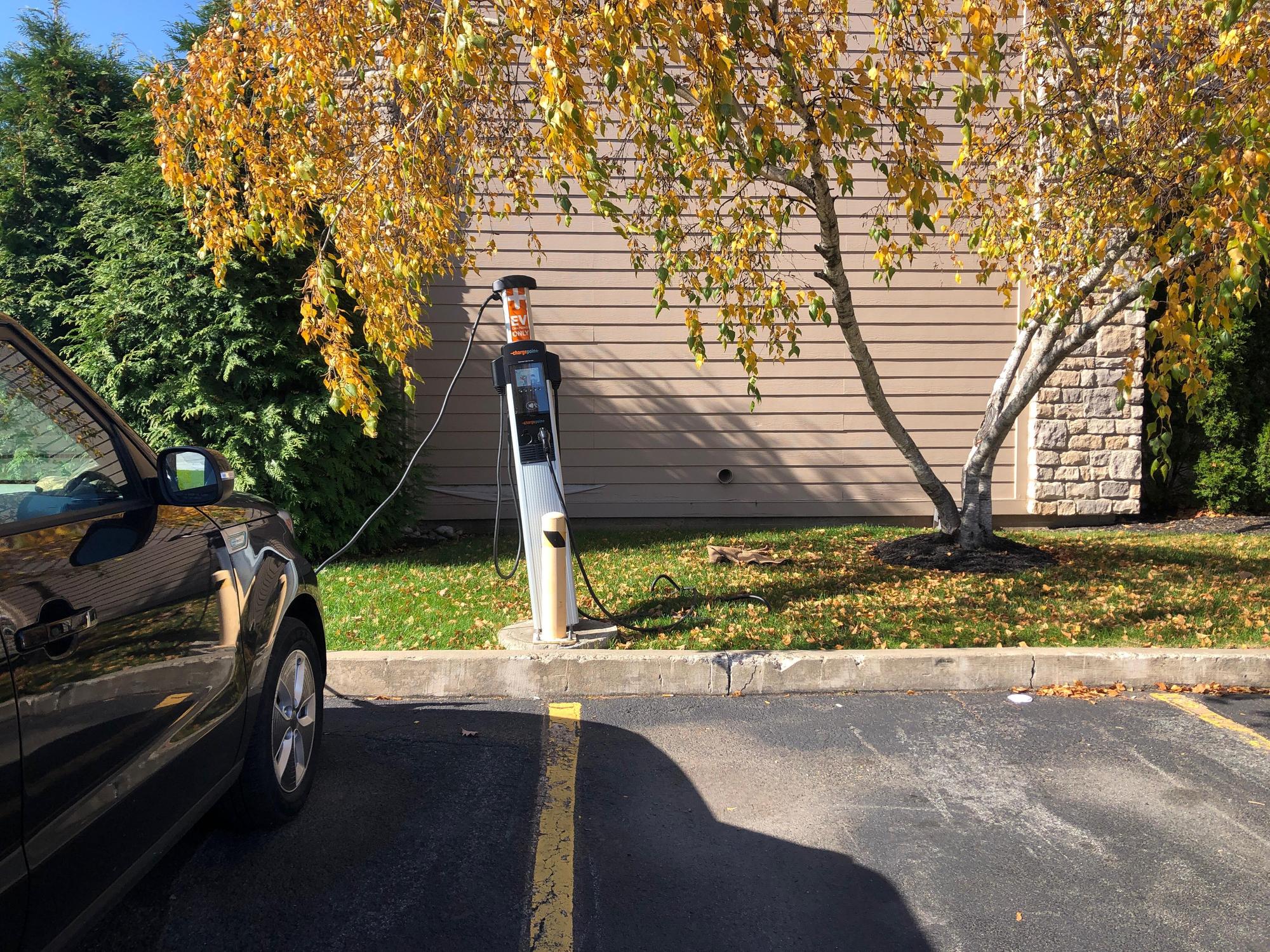 Chili's Grill & Bar Glenmont, NY EV Station