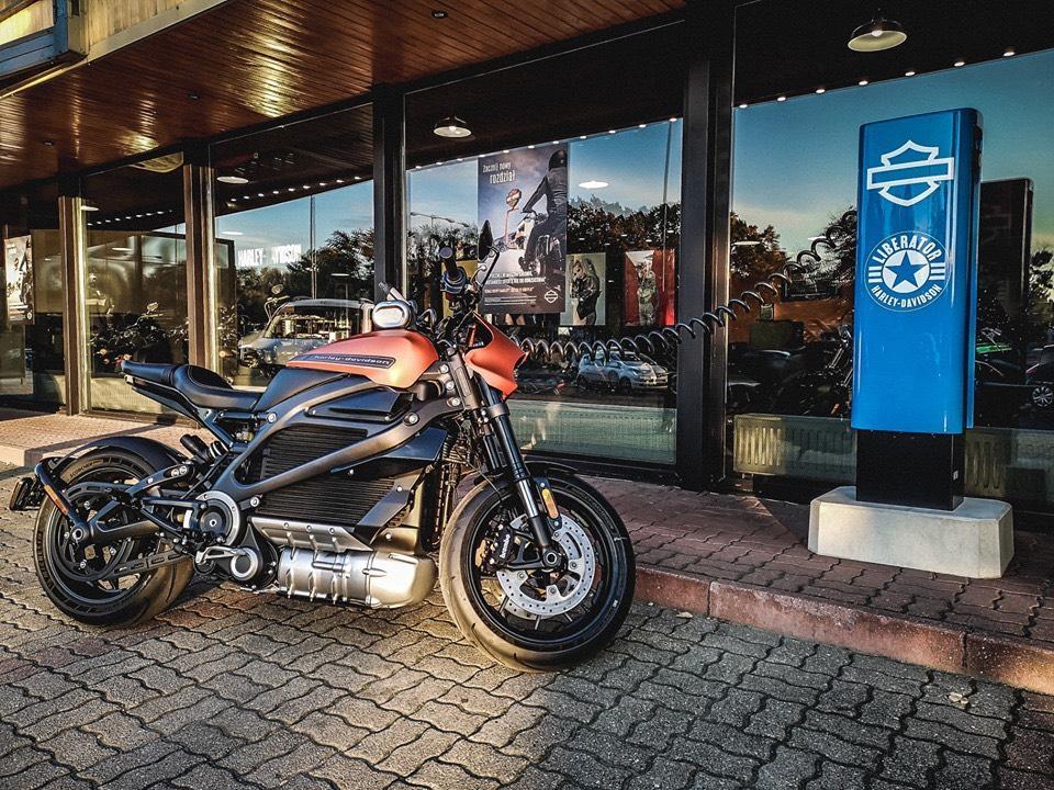 harley davidson liberator for sale