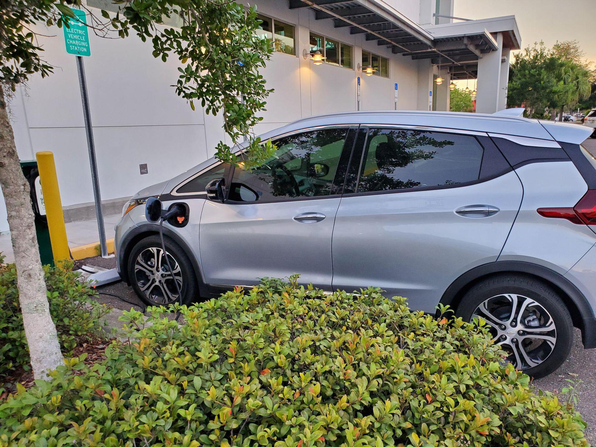 Whole Foods Market Greater Northdale, FL EV Station