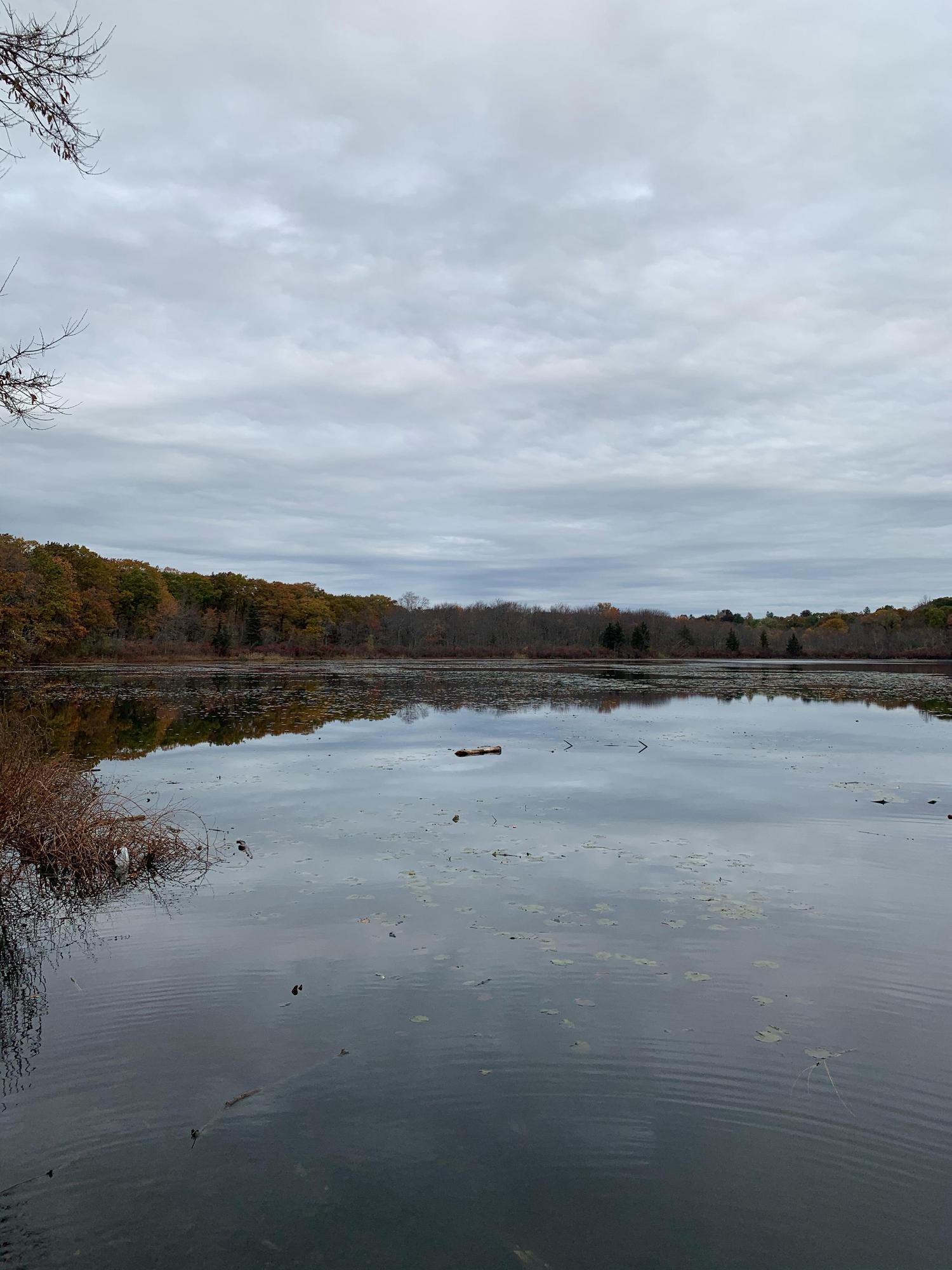 Boylston St Parking Lot Newton, MA EV Station