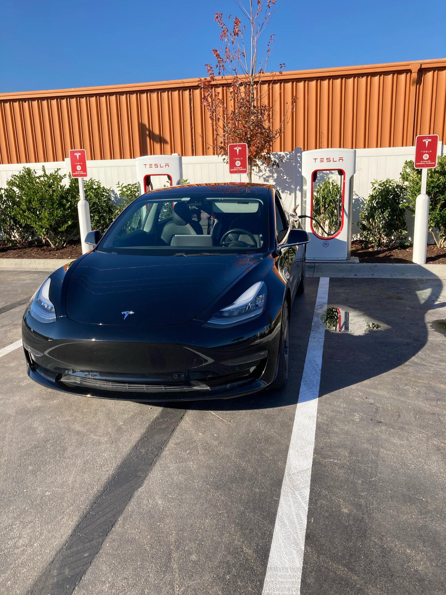 Winter Garden Supercharger Plugshare