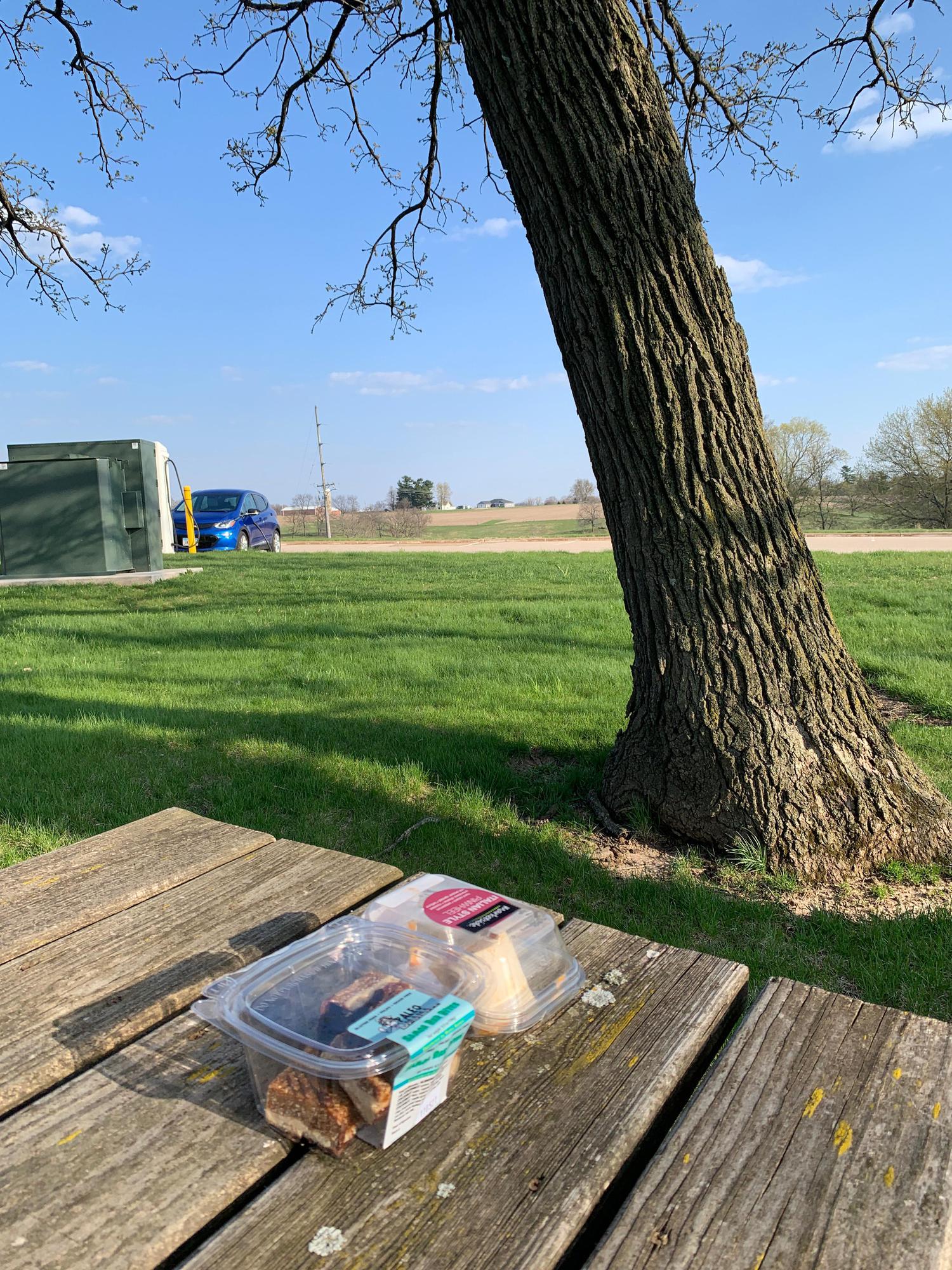 Alliant Energy Mineral Point, WI EV Station