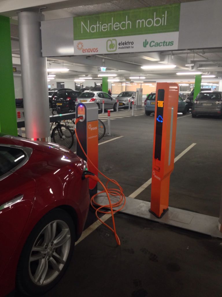 Cactus Belle toile | Bertrange, District de Luxembourg | EV Station