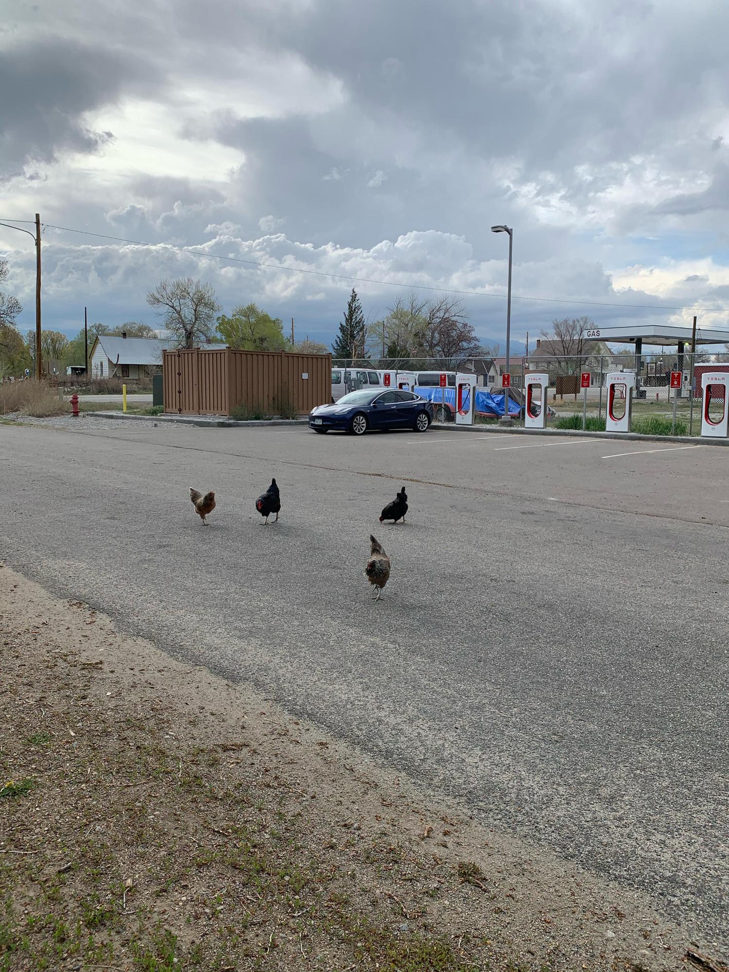 Poncha Market (1) Poncha Springs, CO EV Station