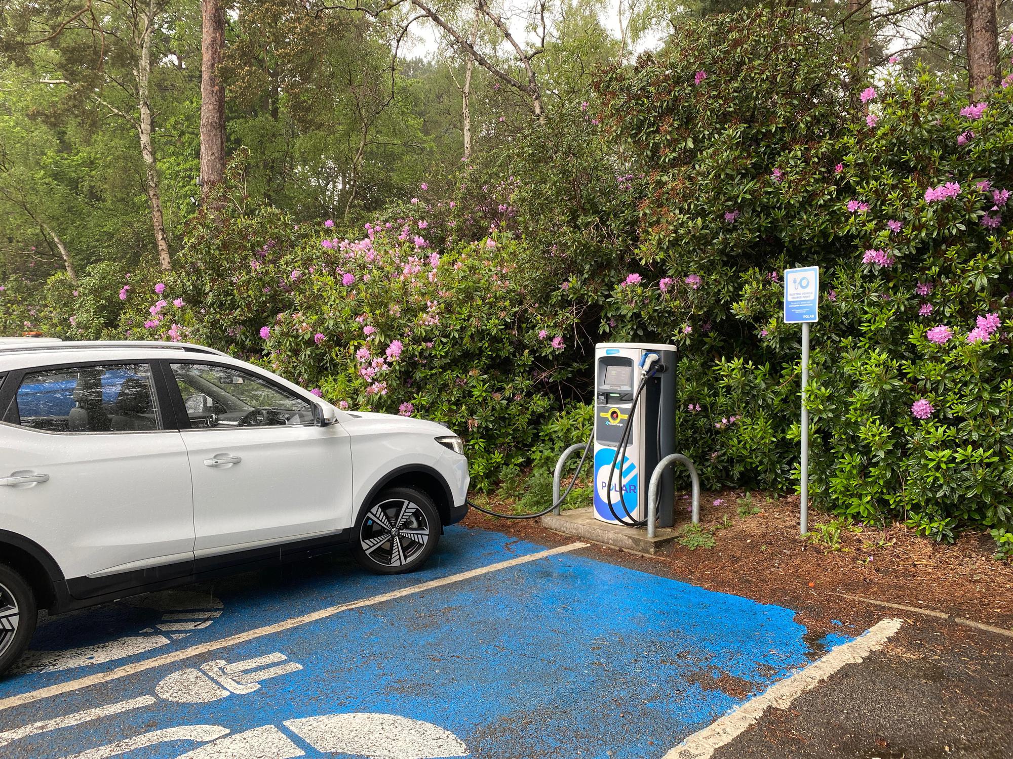 Hilton Cobham Seven Hills Rd, Cobham, KT11 1EW, United Kingdom EV Station