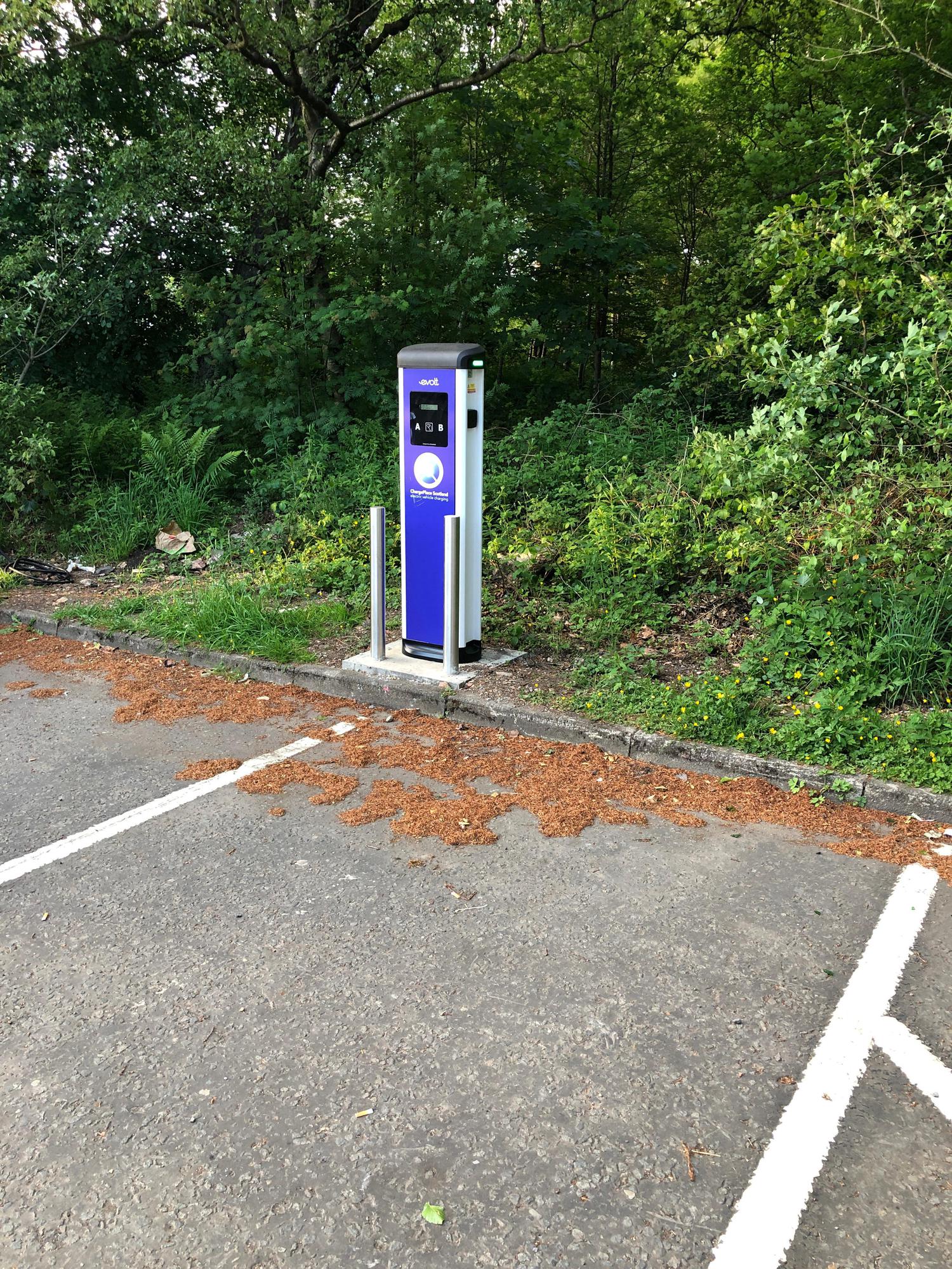 Blenheim Avenue Stepps, Scotland EV Station
