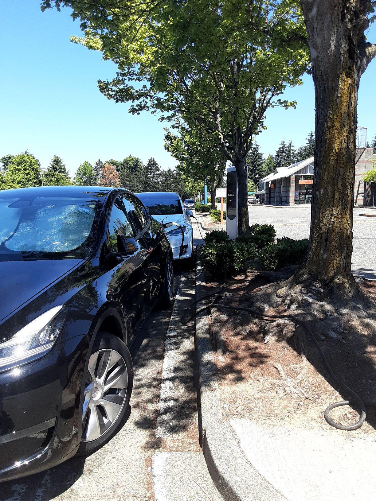 Oak Tree Cinema Seattle, WA EV Station