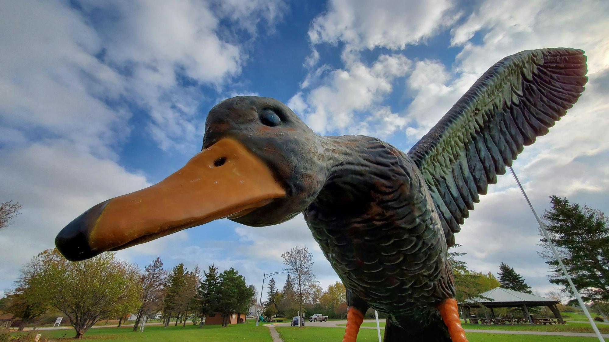 Blackduck Wayside Rest Blackduck, MN EV Station