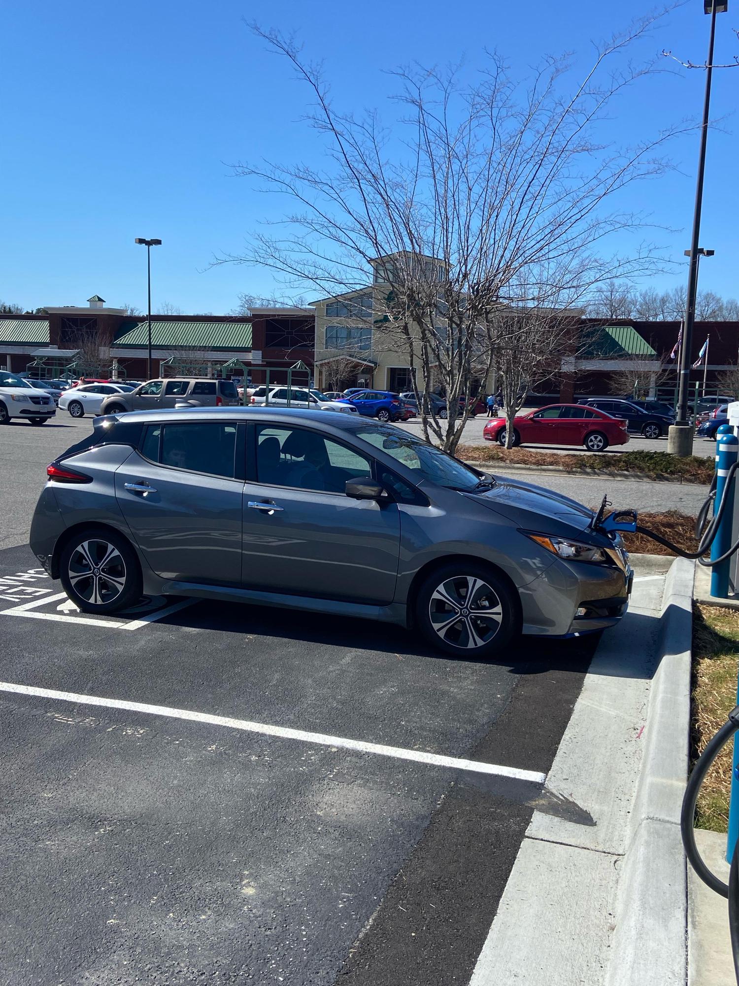 Lowes Foods of Jamestown Jamestown, NC EV Station