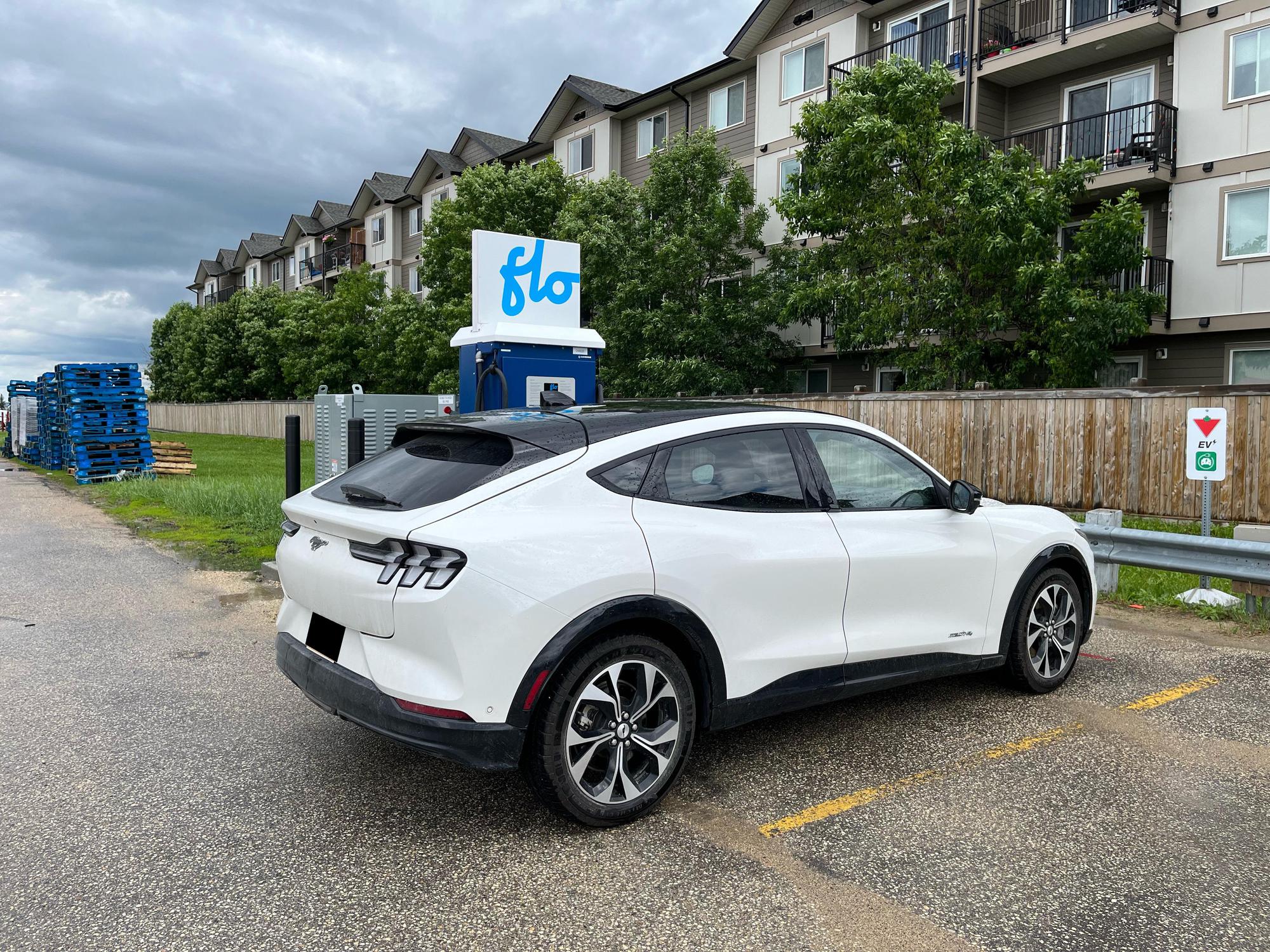Canadian Tire Selkirk Clandeboye, MB EV Station