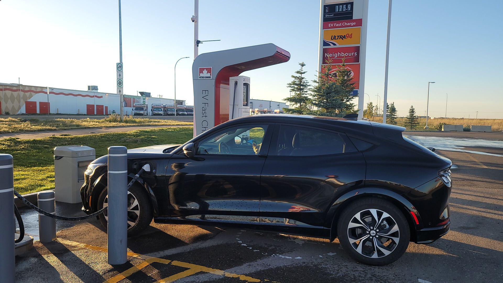 PetroCanada Medicine Hat Medicine Hat, AB EV Station