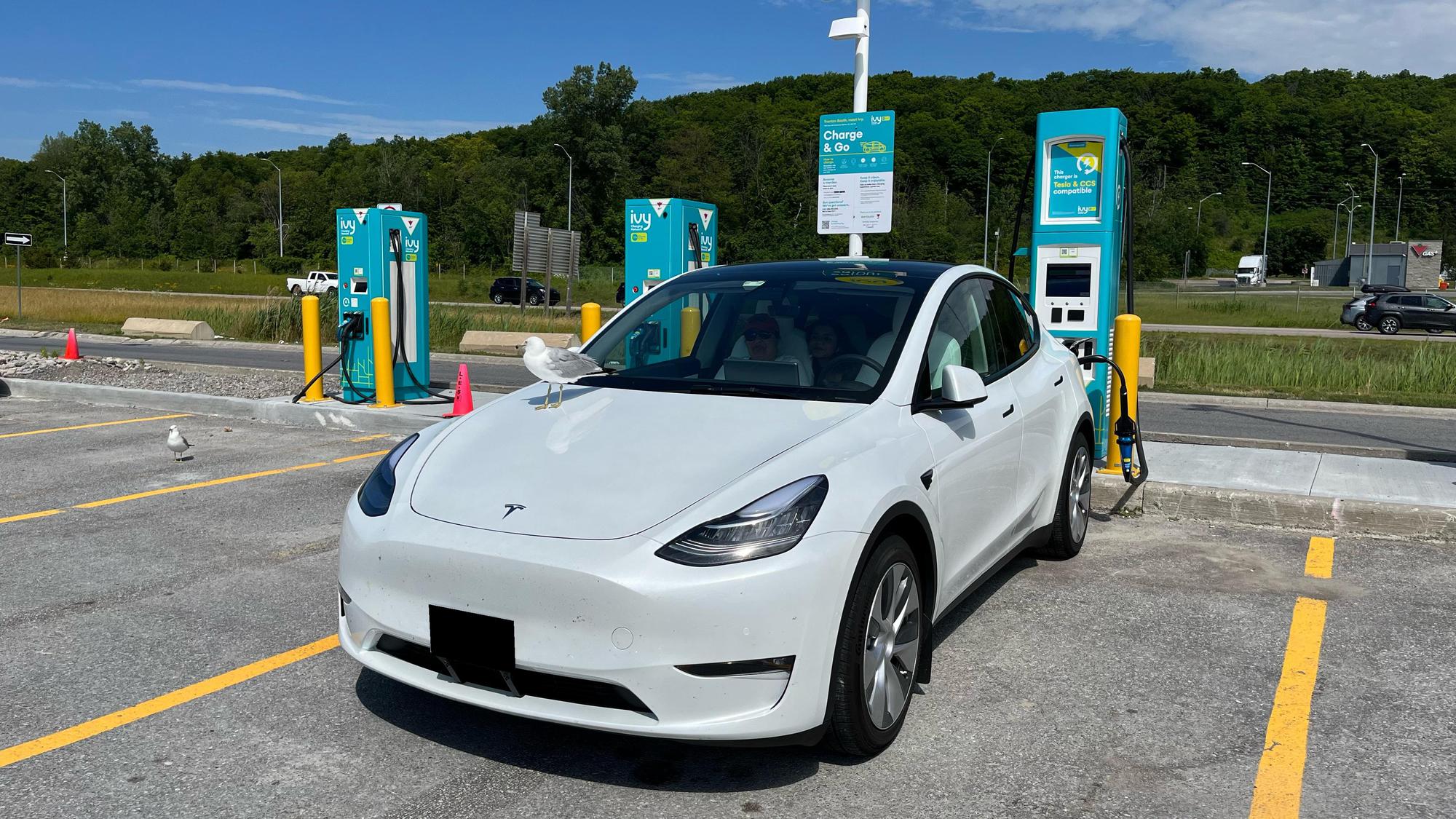 ONroute Trenton South 401 Eastbound Brighton, ON EV Station