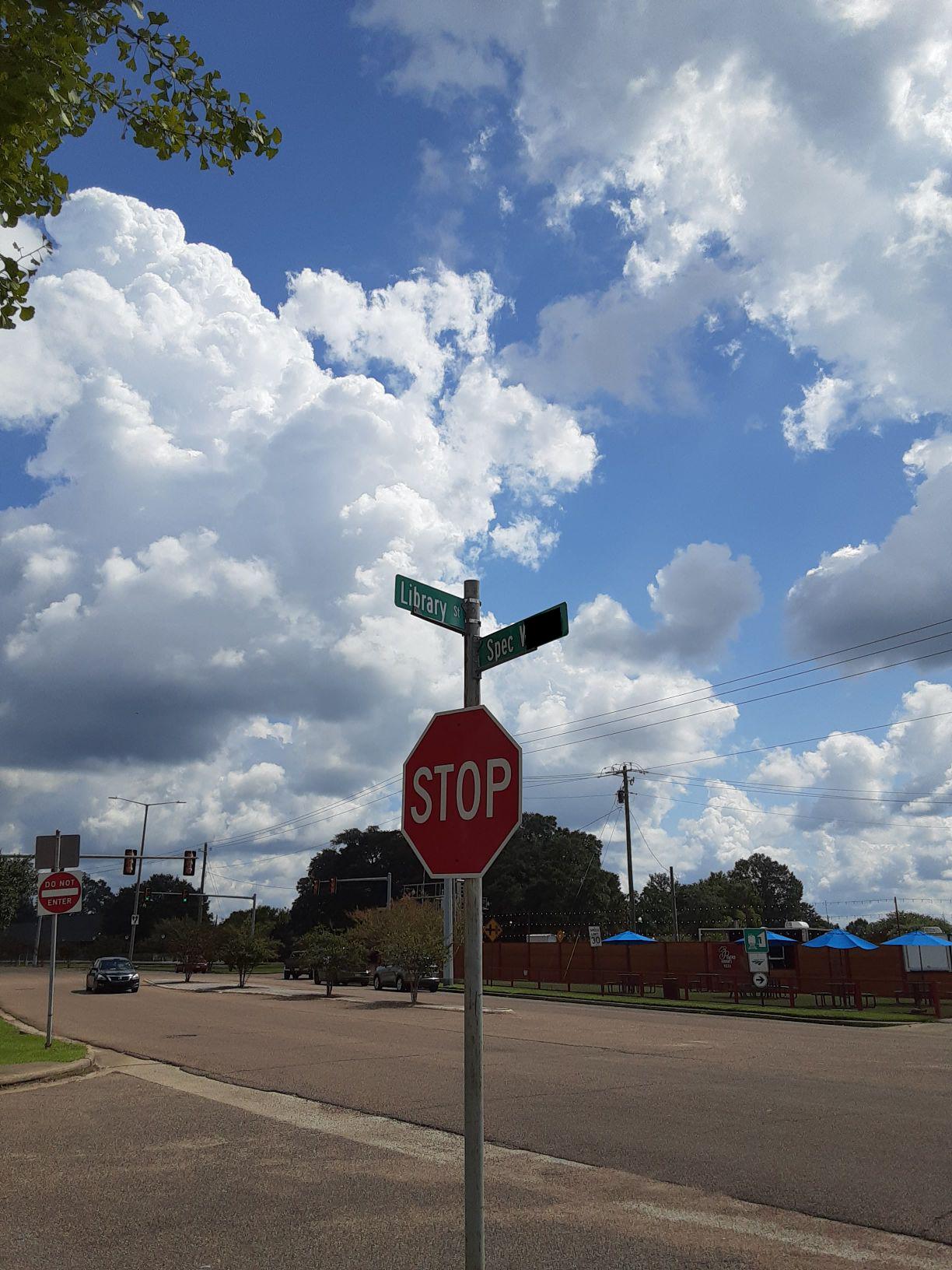 Scotsman General Store Laurel, MS EV Station